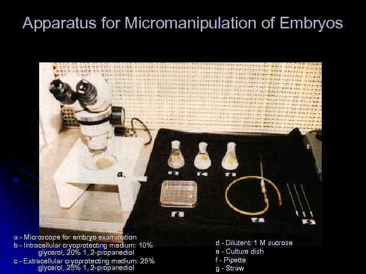 Apparatus for Micromanipulation of Embryos a - Microscope for embryo examination b - Intracellular