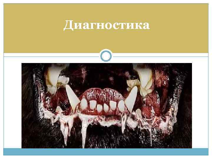 Диагностика 