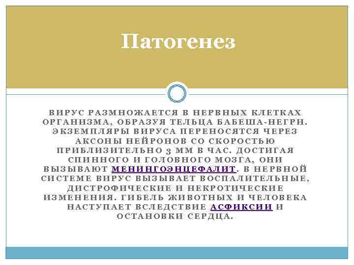 Патогенез ВИРУС РАЗМНОЖАЕТСЯ В НЕРВНЫХ КЛЕТКАХ ОРГАНИЗМА, ОБРАЗУЯ ТЕЛЬЦА БАБЕША-НЕГРИ. ЭКЗЕМПЛЯРЫ ВИРУСА ПЕРЕНОСЯТСЯ ЧЕРЕЗ