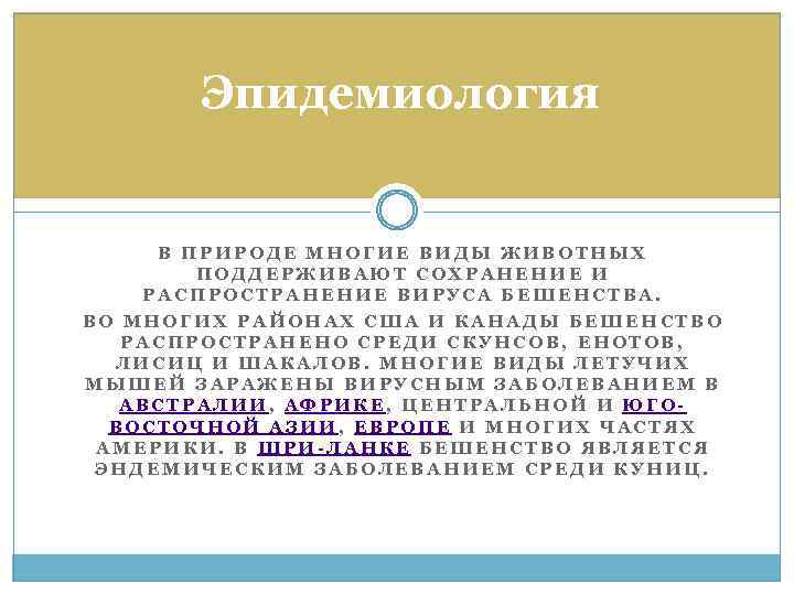 Эпидемиология В ПРИРОДЕ МНОГИЕ ВИДЫ ЖИВОТНЫХ ПОДДЕРЖИВАЮТ СОХРАНЕНИЕ И РАСПРОСТРАНЕНИЕ ВИРУСА БЕШЕНСТВА. ВО МНОГИХ