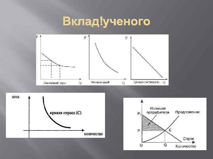 Вклад ученого 