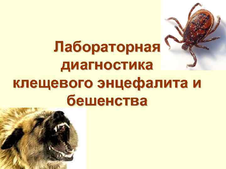 Лабораторная диагностика клещевого энцефалита и бешенства 