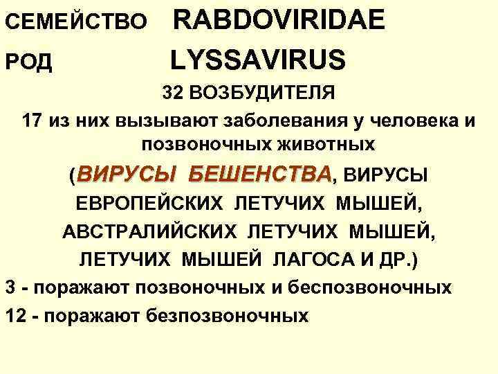 СЕМЕЙСТВО РОД RABDOVIRIDAE LYSSAVIRUS 32 ВОЗБУДИТЕЛЯ 17 из них вызывают заболевания у человека и