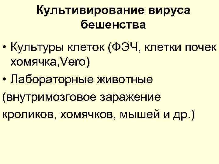 Культивирование вируса бешенства • Культуры клеток (ФЭЧ, клетки почек хомячка, Vero) • Лабораторные животные