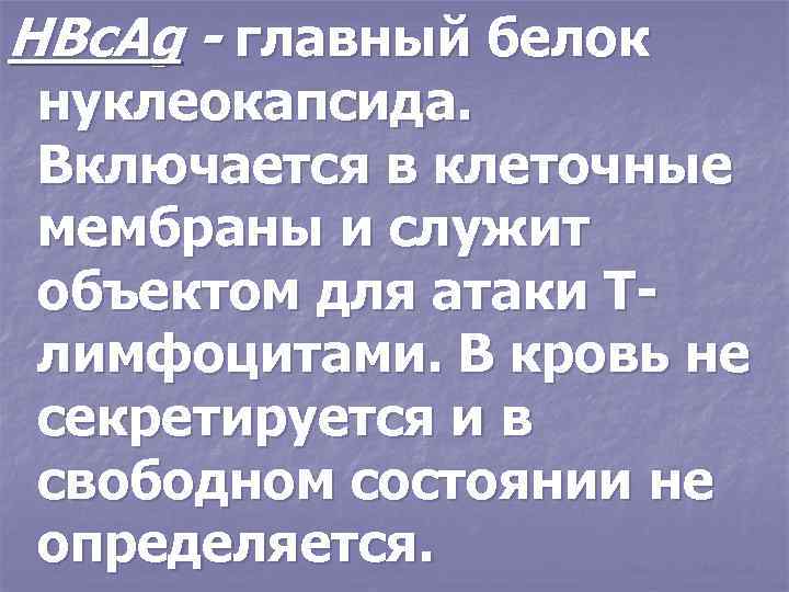 HBc. Ag - главный белок нуклеокапсида. Включается в клеточные мембраны и служит объектом для