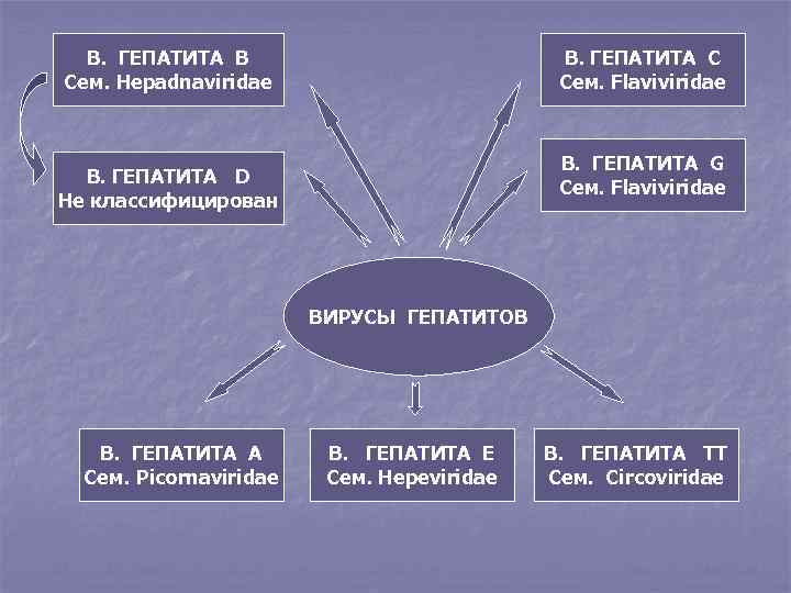 В. ГЕПАТИТА В Сем. Hepadnaviridae В. ГЕПАТИТА С Сем. Flaviviridae В. ГЕПАТИТА G Сем.
