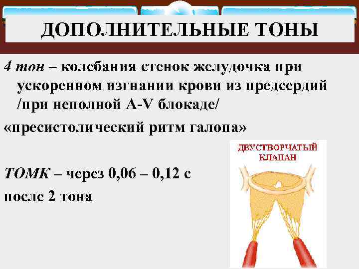 ДОПОЛНИТЕЛЬНЫЕ ТОНЫ 4 тон – колебания стенок желудочка при ускоренном изгнании крови из предсердий