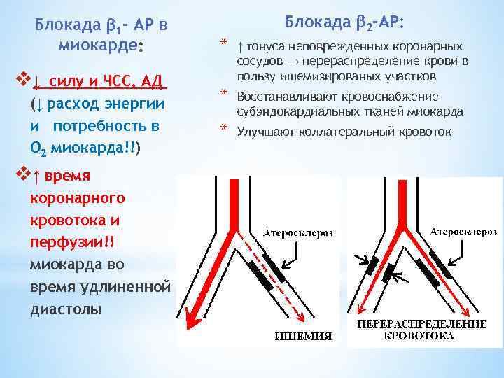 Блокада 1 - АР в миокарде v↓ силу и ЧСС, АД (↓ расход энергии