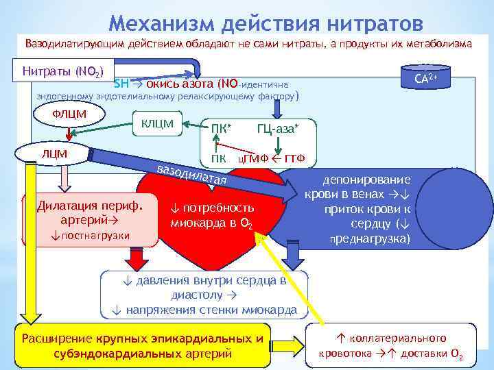 Презентация антиангинальные средства фармакология