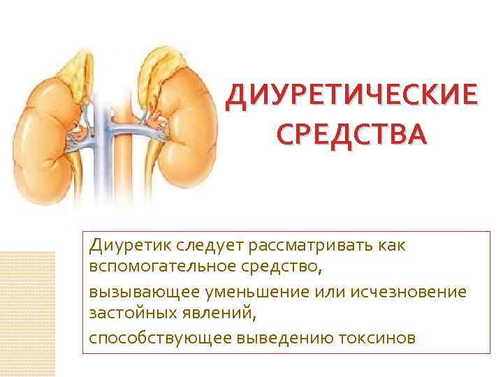 ДИУРЕТИЧЕСКИЕ СРЕДСТВА Диуретик следует рассматривать как вспомогательное средство, вызывающее уменьшение или исчезновение застойных явлений,