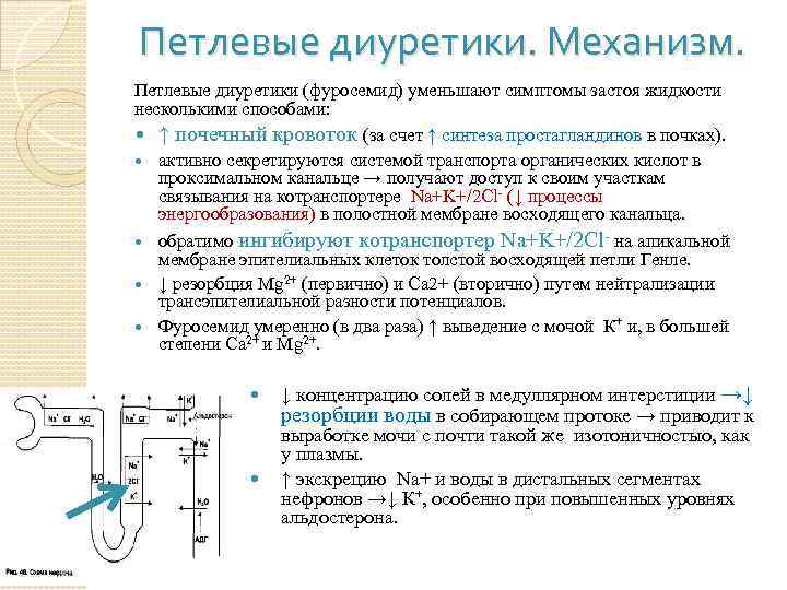 Диуретиком противопоказанным на фоне гиперкалиемии является