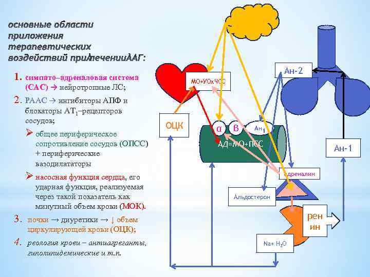 Ан-2 1. симпато–адреналовая система МО+УОх. ЧСС (САС) → нейротропные ЛС; 2. РААС → ингибиторы