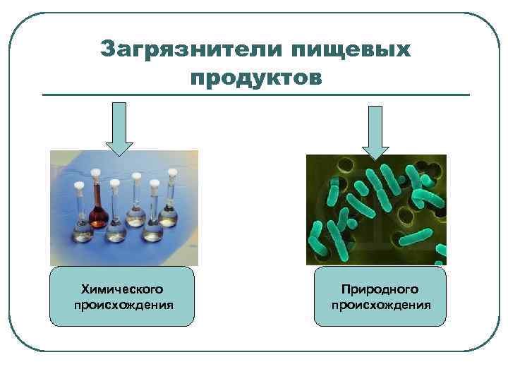 Загрязнители пищевых продуктов Химического происхождения Природного происхождения 