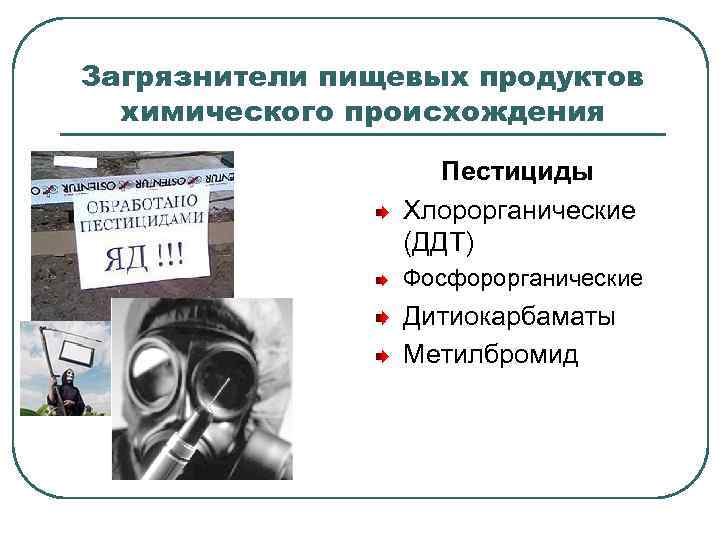 Загрязнители пищевых продуктов химического происхождения Пестициды Хлорорганические (ДДТ) Фосфорорганические Дитиокарбаматы Метилбромид 