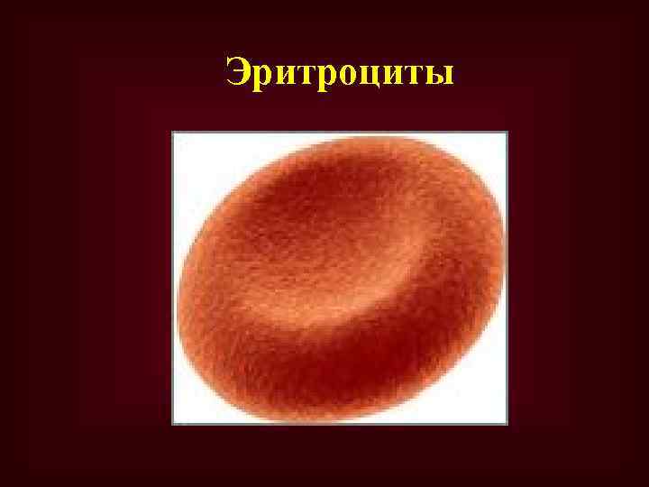 Эритроциты 