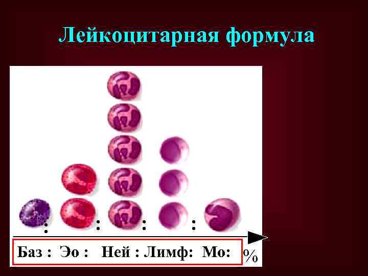 Лейкоцитарная формула : : Баз : Эо : Ней : Лимф: Мо: % 