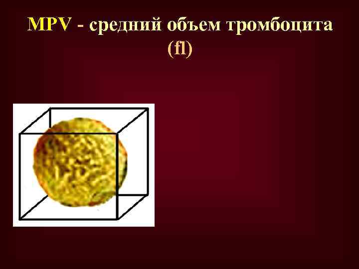 МPV - средний объем тромбоцита (fl) 