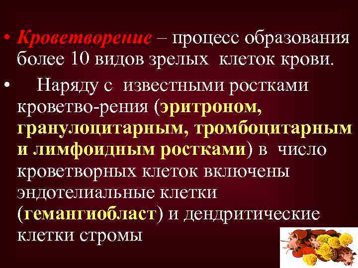  • Кроветворение – процесс образования более 10 видов зрелых клеток крови. • Наряду