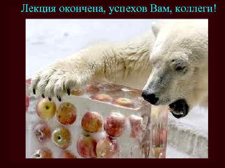 Лекция окончена, успехов Вам, коллеги! 