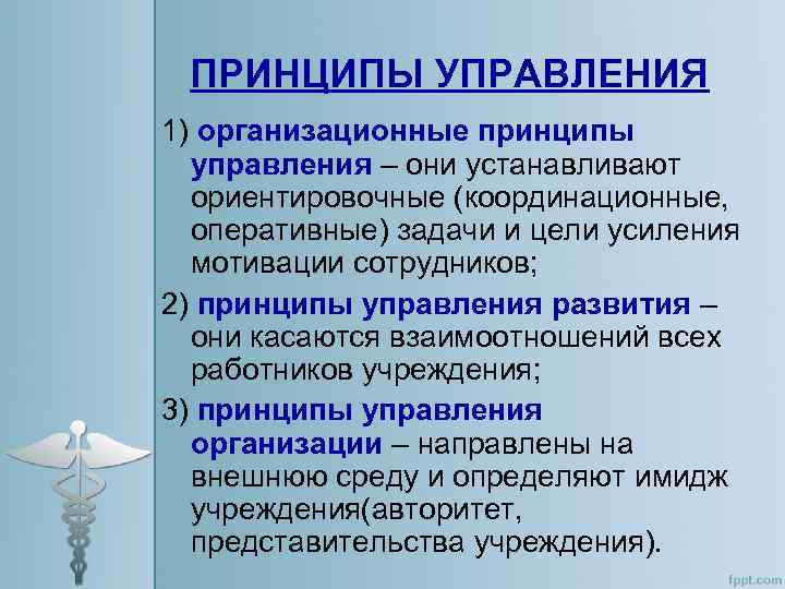 Принципы управления процессом. Организационные принципы. Принципы управления. Перечислить принципы управления. Принципы управления примеры.