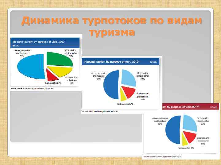 Динамика турпотоков по видам туризма 