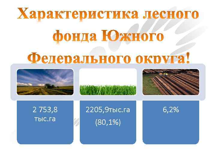 2 753, 8 тыс. га 2205, 9 тыс. га (80, 1%) 6, 2% 