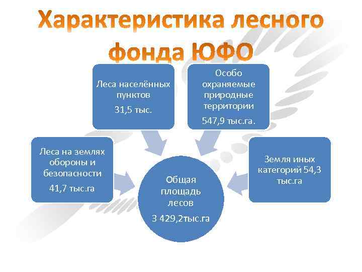 Леса населённых пунктов 31, 5 тыс. Леса на землях обороны и безопасности 41, 7
