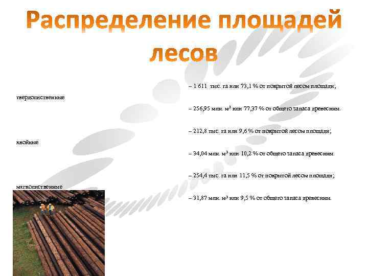 – 1 611 тыс. га или 73, 1 % от покрытой лесом площади; твердолиственные