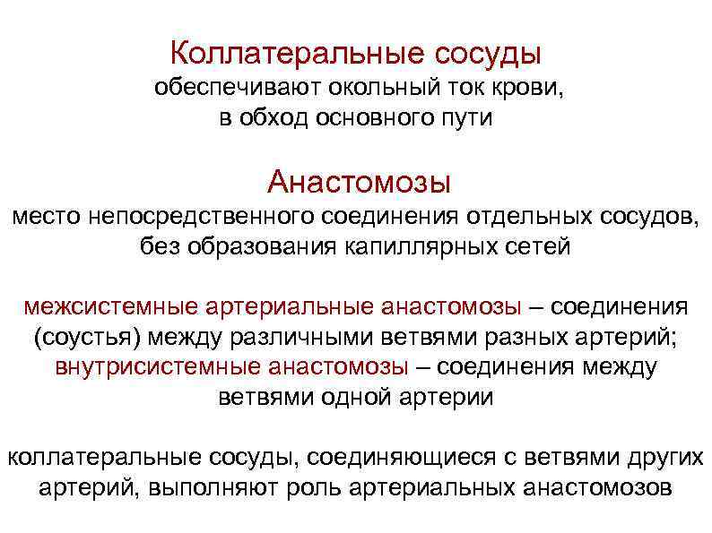 Коллатеральные сосуды обеспечивают окольный ток крови, в обход основного пути Анастомозы место непосредственного соединения