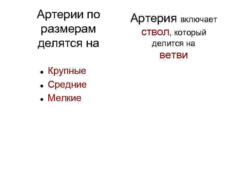 Артерии по размерам делятся на Крупные Средние Мелкие Артерия включает ствол, который делится на