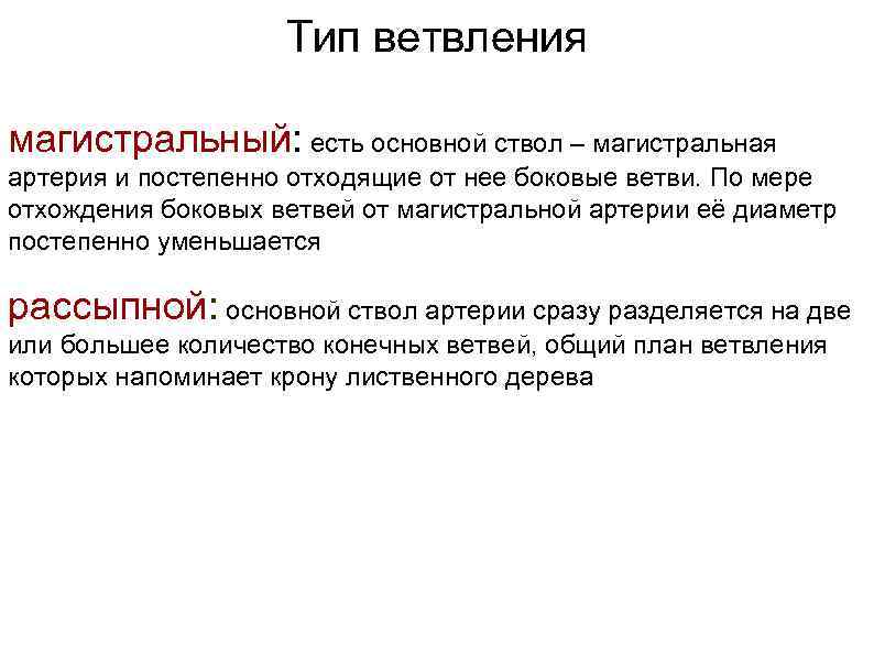 Тип ветвления магистральный: есть основной ствол – магистральная артерия и постепенно отходящие от нее