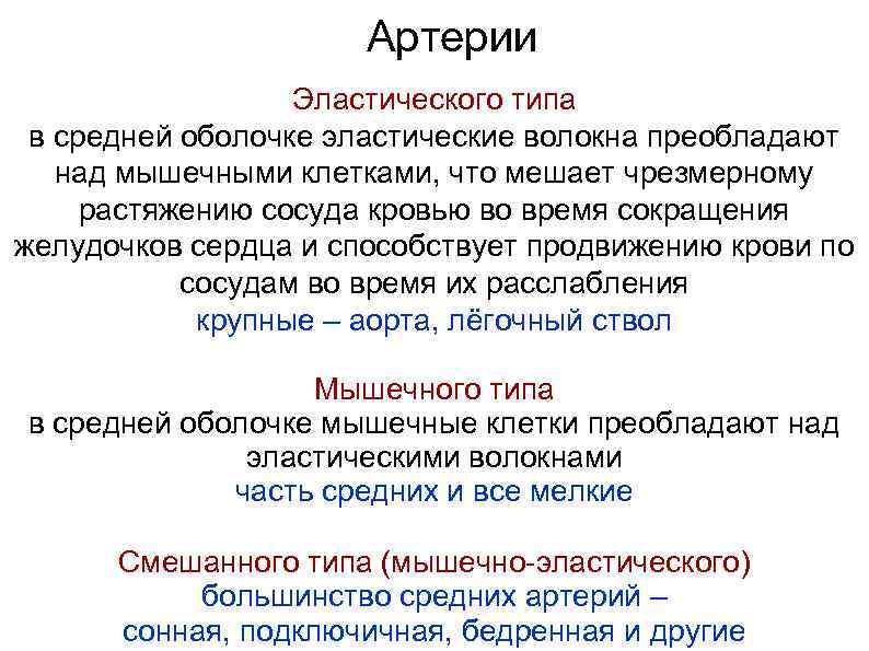 Артерии Эластического типа в средней оболочке эластические волокна преобладают над мышечными клетками, что мешает