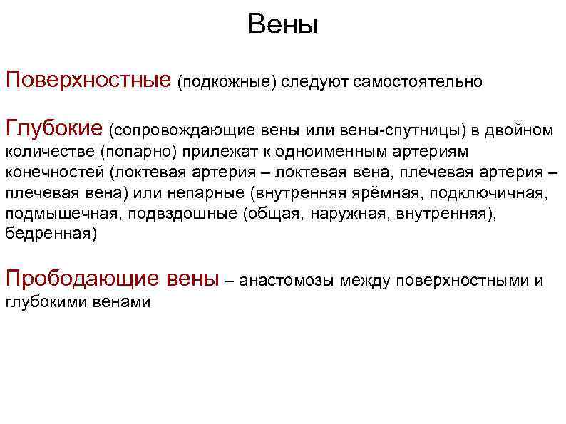 Вены Поверхностные (подкожные) следуют самостоятельно Глубокие (сопровождающие вены или вены-спутницы) в двойном количестве (попарно)