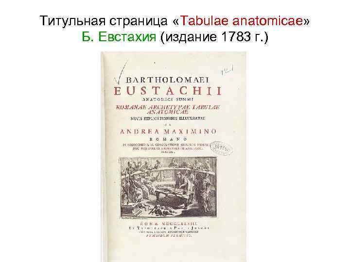 Титульная страница «Tabulae anatomicae» Б. Евстахия (издание 1783 г. ) 