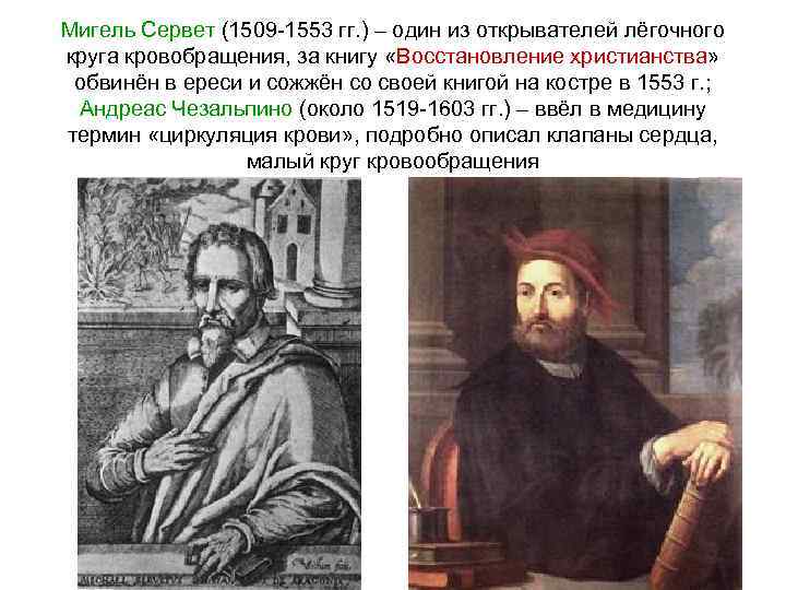 Сервет. Мигель Сервет восстановление христианства. М Сервет 1509 1553 открытия. Мигель Сервет малый круг. Мигель Сервет сожжение.