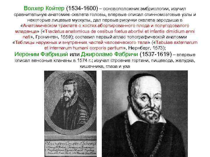 Волхер Койтер (1534 -1600) – основоположник эмбриологии, изучил сравнительную анатомию скелета головы, впервые описал