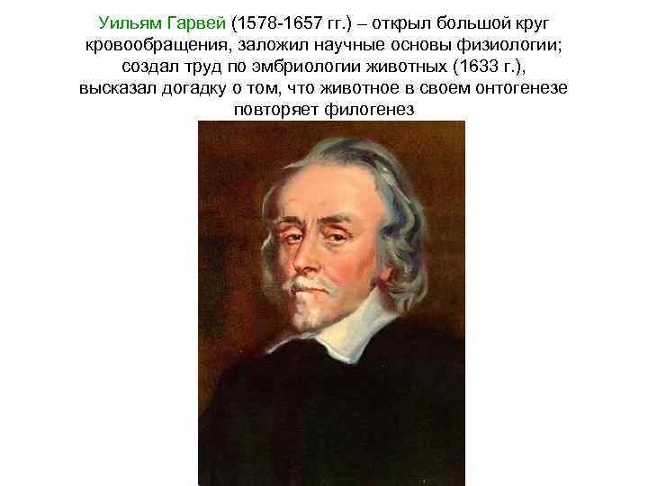 Уильям Гарвей (1578 -1657 гг. ) – открыл большой круг кровообращения, заложил научные основы