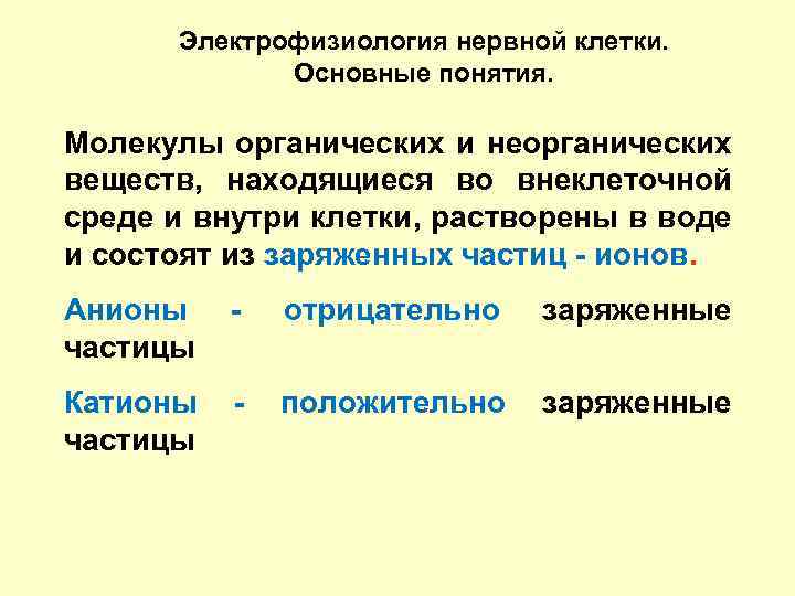 Электрофизиология нервной клетки. Основные понятия. Молекулы органических и неорганических веществ, находящиеся во внеклеточной среде