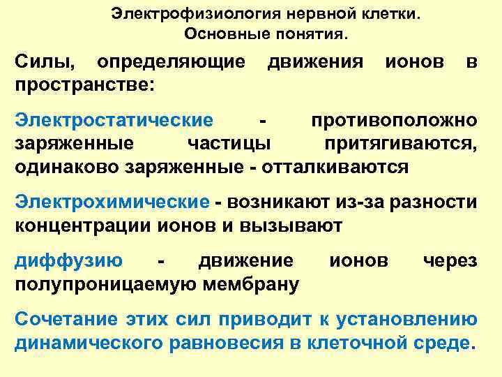 Электрофизиология нервной клетки. Основные понятия. Силы, определяющие пространстве: движения ионов в Электростатические противоположно заряженные