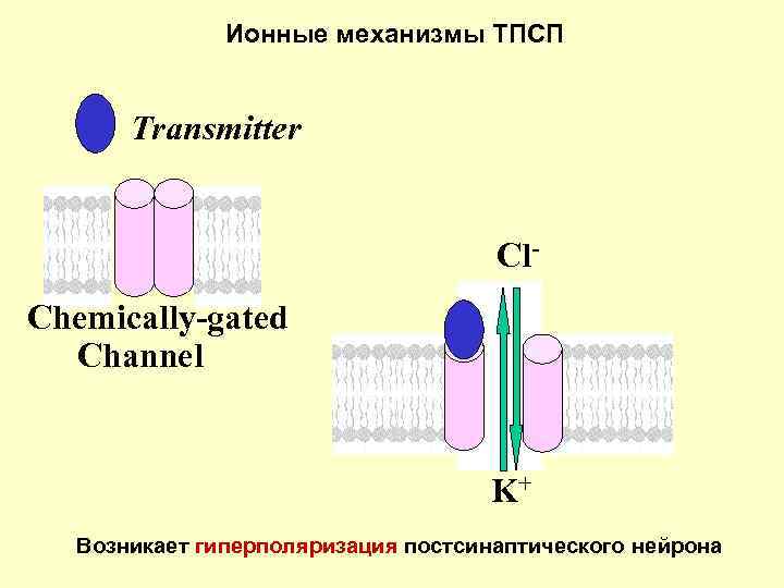 Ионный механизм