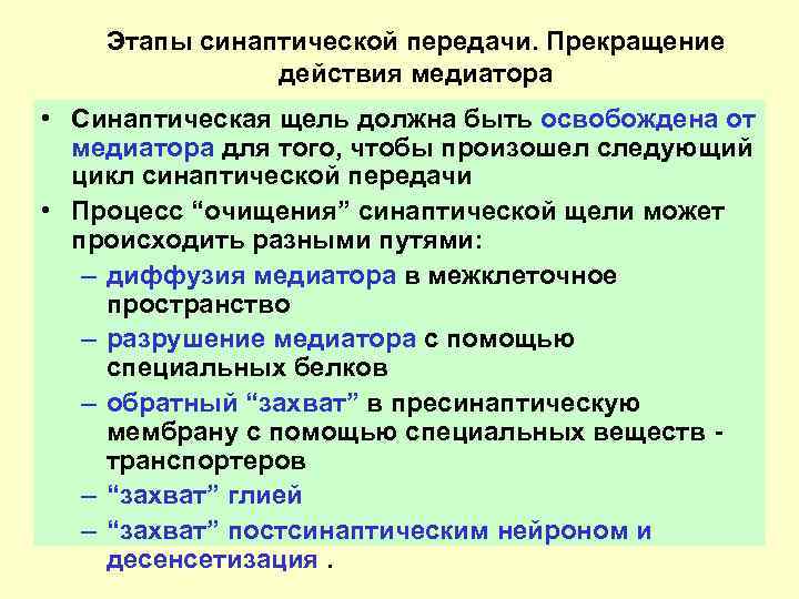 Этапы синаптической передачи. Прекращение действия медиатора • Синаптическая щель должна быть освобождена от медиатора