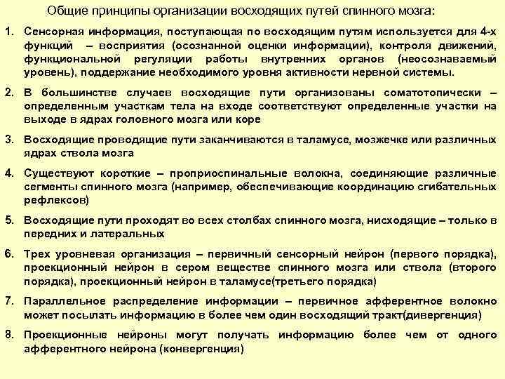 Общие принципы организации восходящих путей спинного мозга: 1. Сенсорная информация, поступающая по восходящим путям