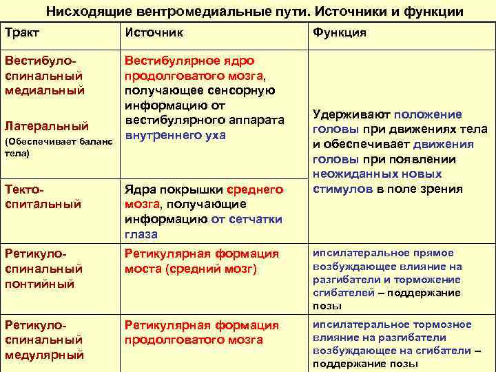 Нисходящие вентромедиальные пути. Источники и функции Тракт Источник Вестибулоспинальный медиальный Вестибулярное ядро продолговатого мозга,