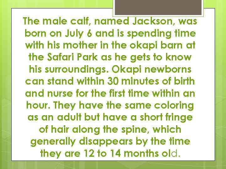 The male calf, named Jackson, was born on July 6 and is spending time