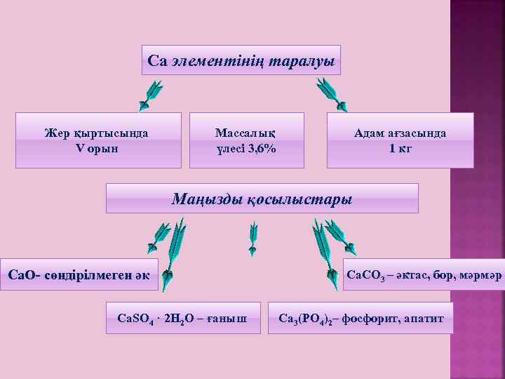 Са элементінің таралуы Жер қыртысында V орын Массалық үлесі 3, 6% Адам ағзасында 1