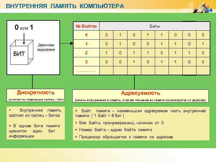 Сколько байтов в памяти компьютера займет слово мех