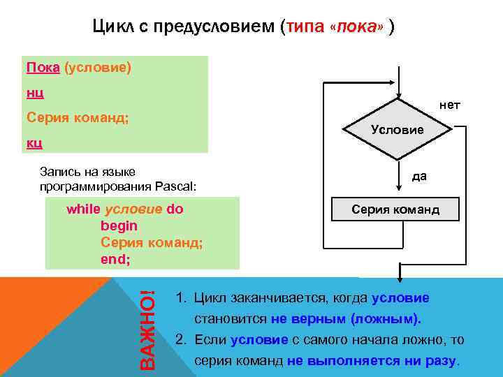 Цикл пока в блок схеме