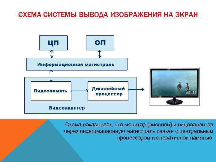 СХЕМА СИСТЕМЫ ВЫВОДА ИЗОБРАЖЕНИЯ НА ЭКРАН Схема показывает, что монитор (дисплей) и видеоадаптер через