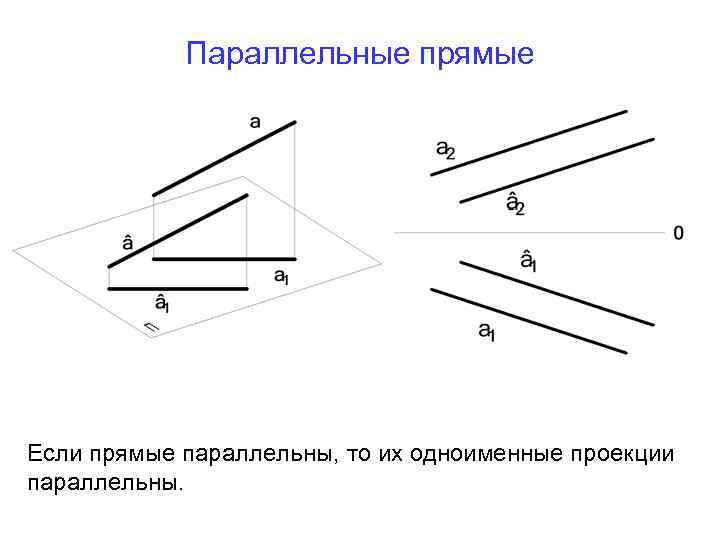 Проекции параллельных прямых