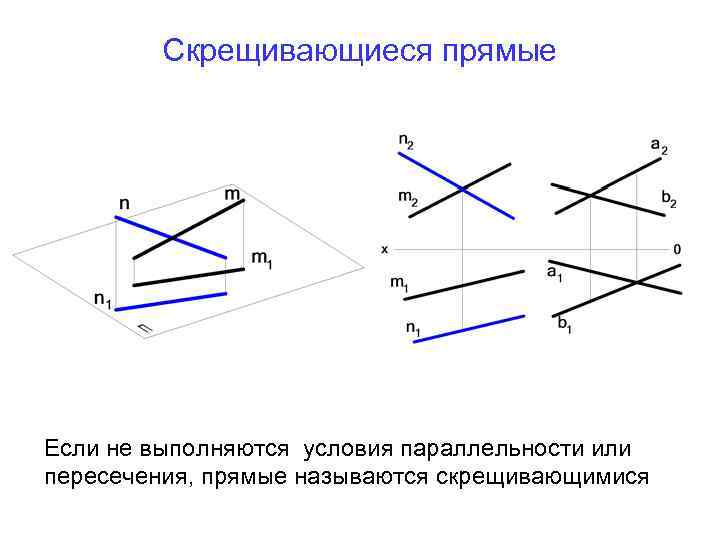 Скрещивающиеся прямые лежат